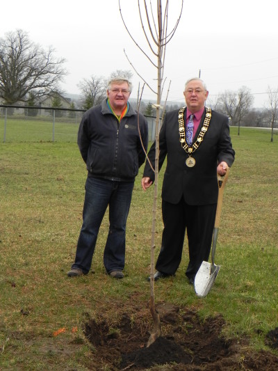 Mayor Levi stands next to Ron Ayling, Chair of the MM Tree Committee, whose idea it was to create the Political Stand grove in 2012 