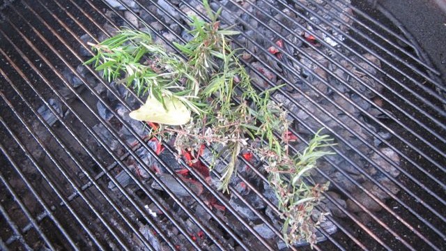 herbs on grill