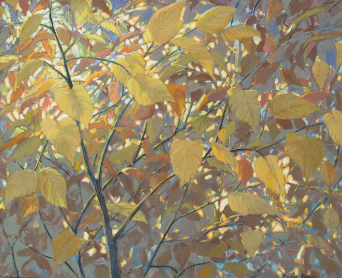Fall Colour  40x32 inches   Acrylic on Canvas