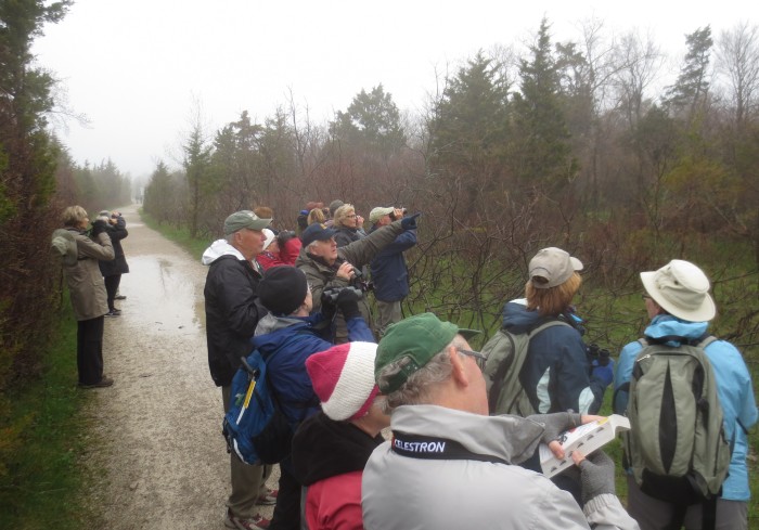 Pelee 19 Over There May 5 2015