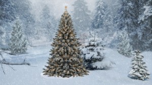 Christmas Tree in Forest 3