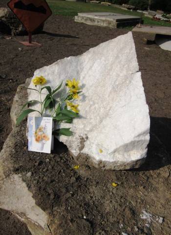 MGP Millstone 8